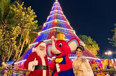 Christmas Carnival