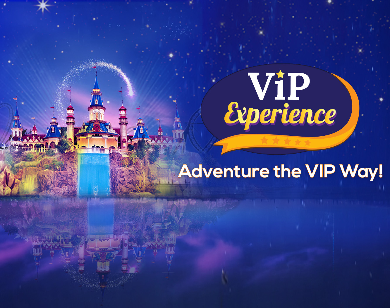 VIP Experience