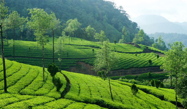 best places to visit in august in india