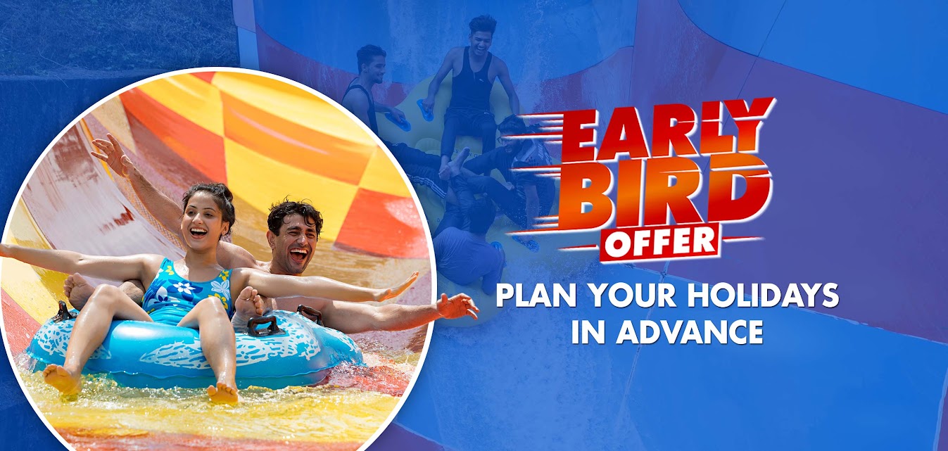 Early Bird Offer