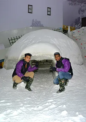 Snow Castle