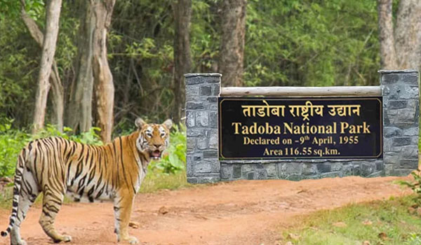 places to visit in maharashtra