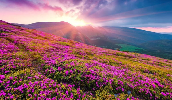 best places to visit in august in india
